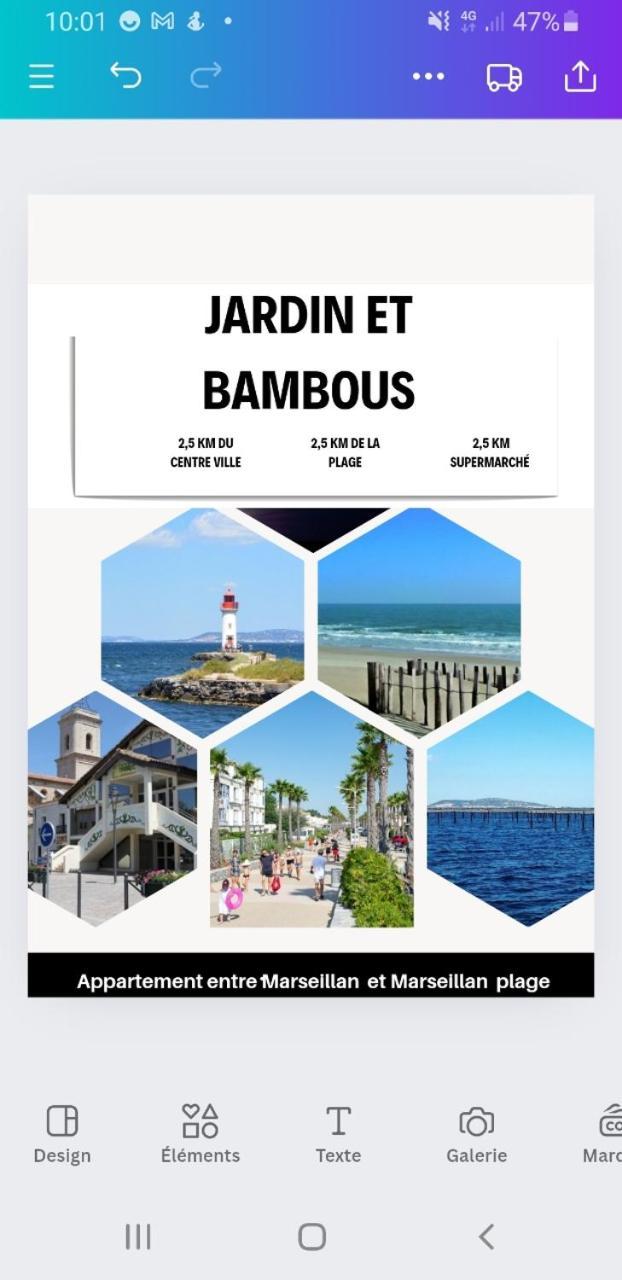 Jardin Et Bambous, Studio Cosy, Classe 2 Etoiles Marseillan  Εξωτερικό φωτογραφία