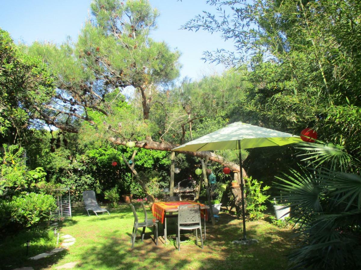 Jardin Et Bambous, Studio Cosy, Classe 2 Etoiles Marseillan  Εξωτερικό φωτογραφία