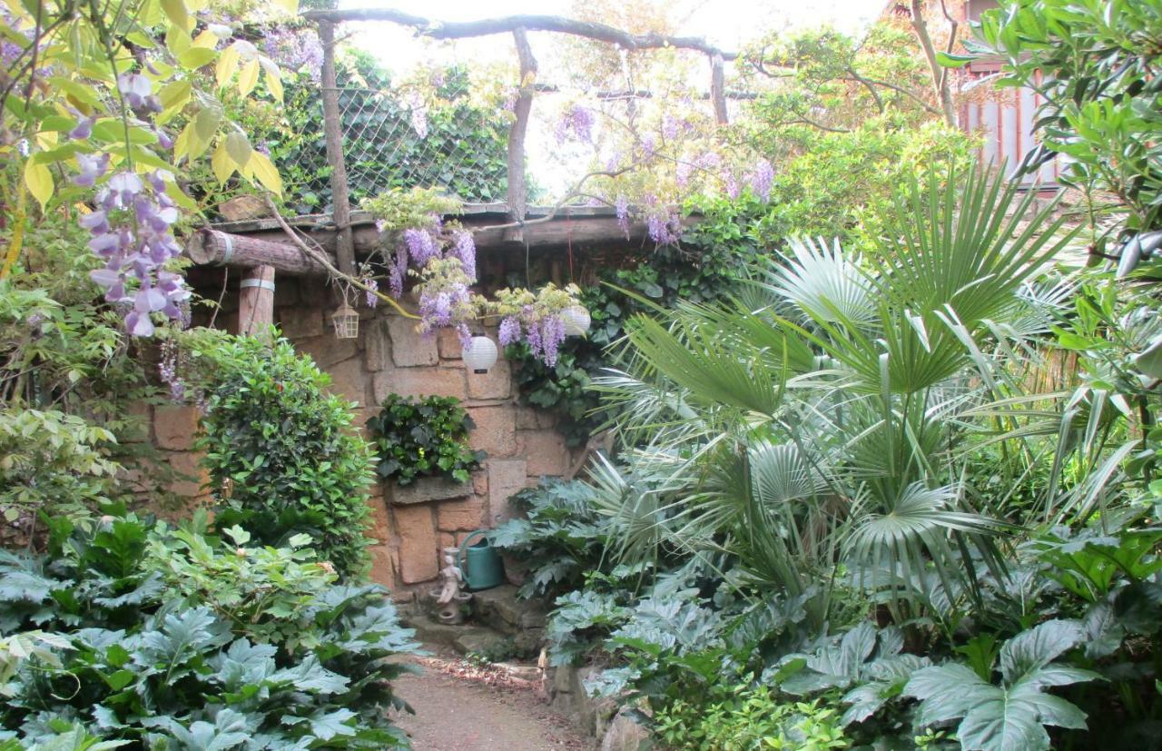 Jardin Et Bambous, Studio Cosy, Classe 2 Etoiles Marseillan  Εξωτερικό φωτογραφία