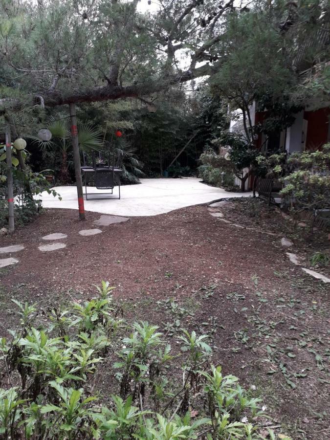 Jardin Et Bambous, Studio Cosy, Classe 2 Etoiles Marseillan  Εξωτερικό φωτογραφία