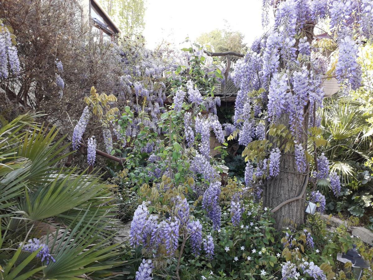 Jardin Et Bambous, Studio Cosy, Classe 2 Etoiles Marseillan  Εξωτερικό φωτογραφία
