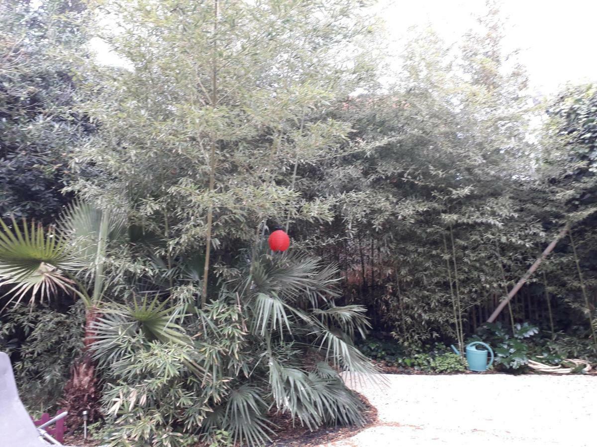 Jardin Et Bambous, Studio Cosy, Classe 2 Etoiles Marseillan  Εξωτερικό φωτογραφία